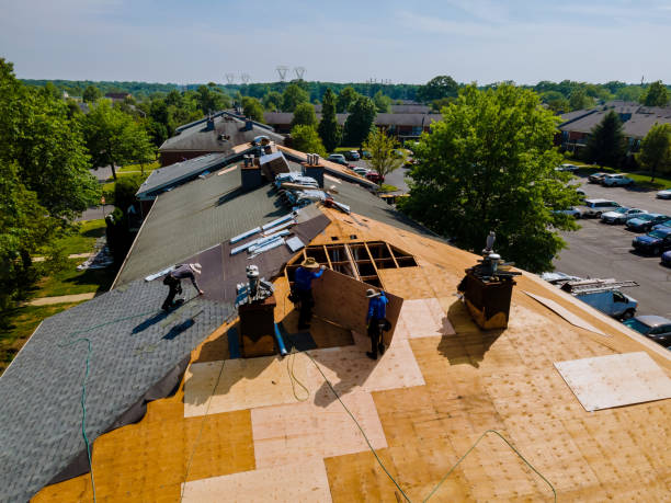 Quick and Trustworthy Emergency Roof Repair Services in Saranap, CA