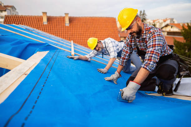 Best Roof Gutter Cleaning  in Saranap, CA